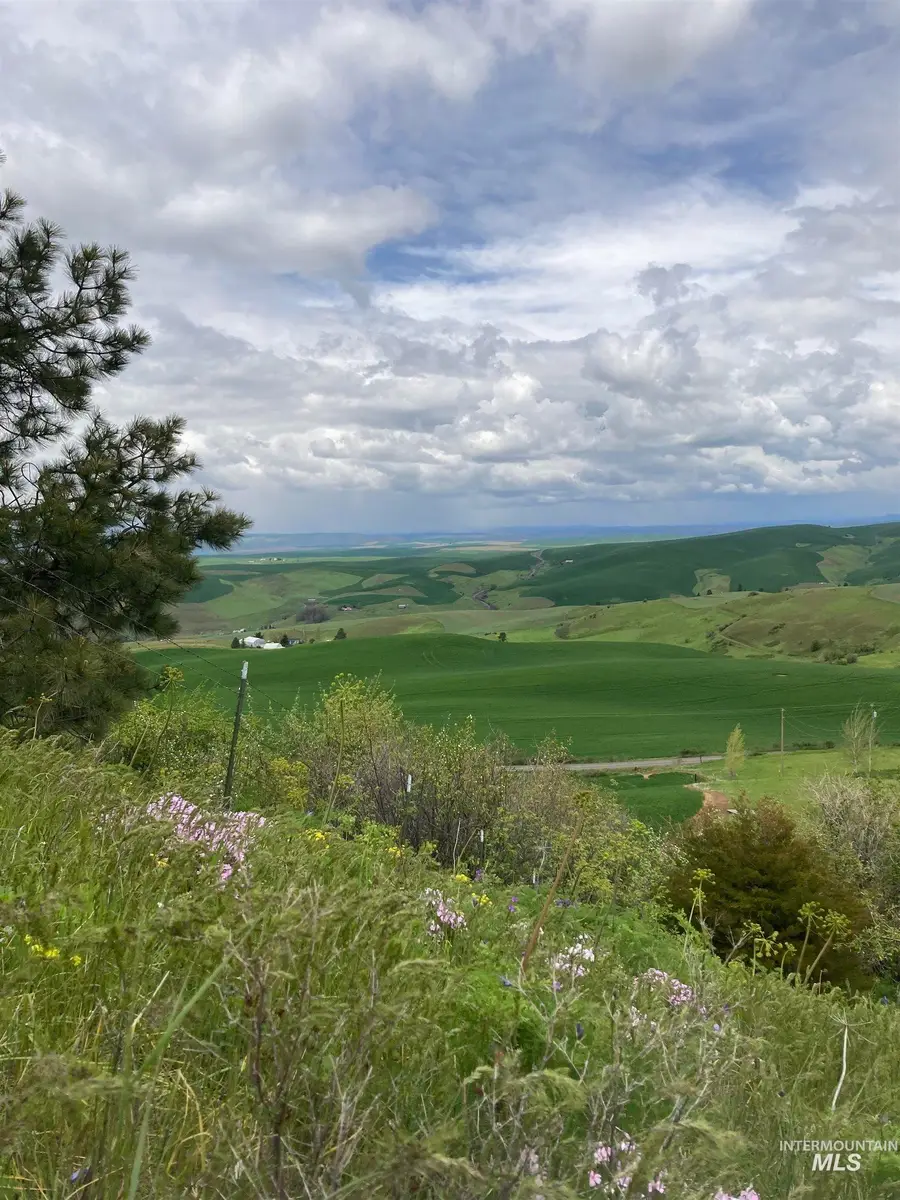 NKA Raven Dr., Culdesac, ID 83524 - #3