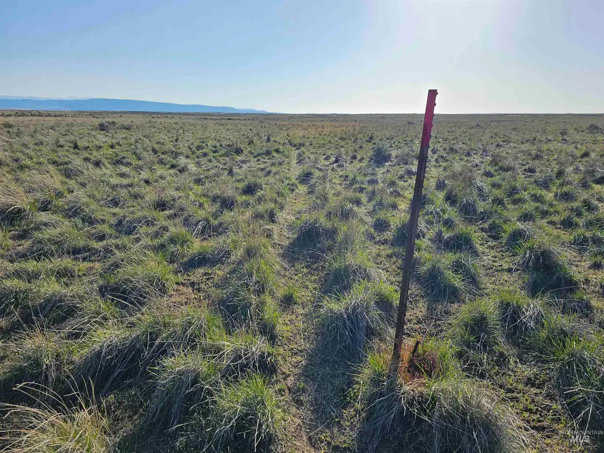 2350 Kunae East Road, Declo, ID 83323 - #1