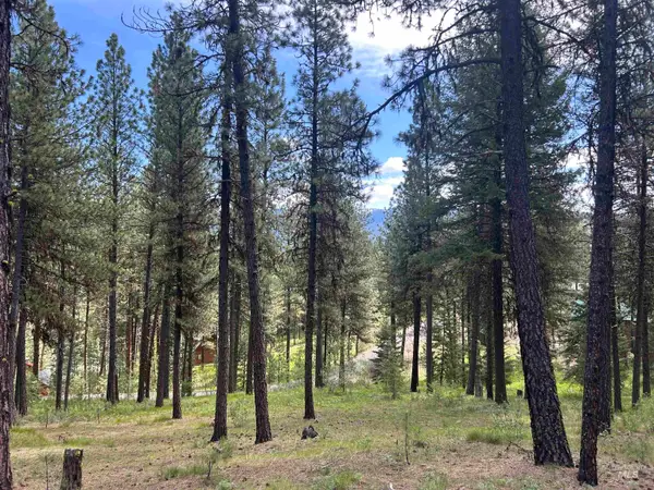 Syringa Drive, New Meadows, ID 83654