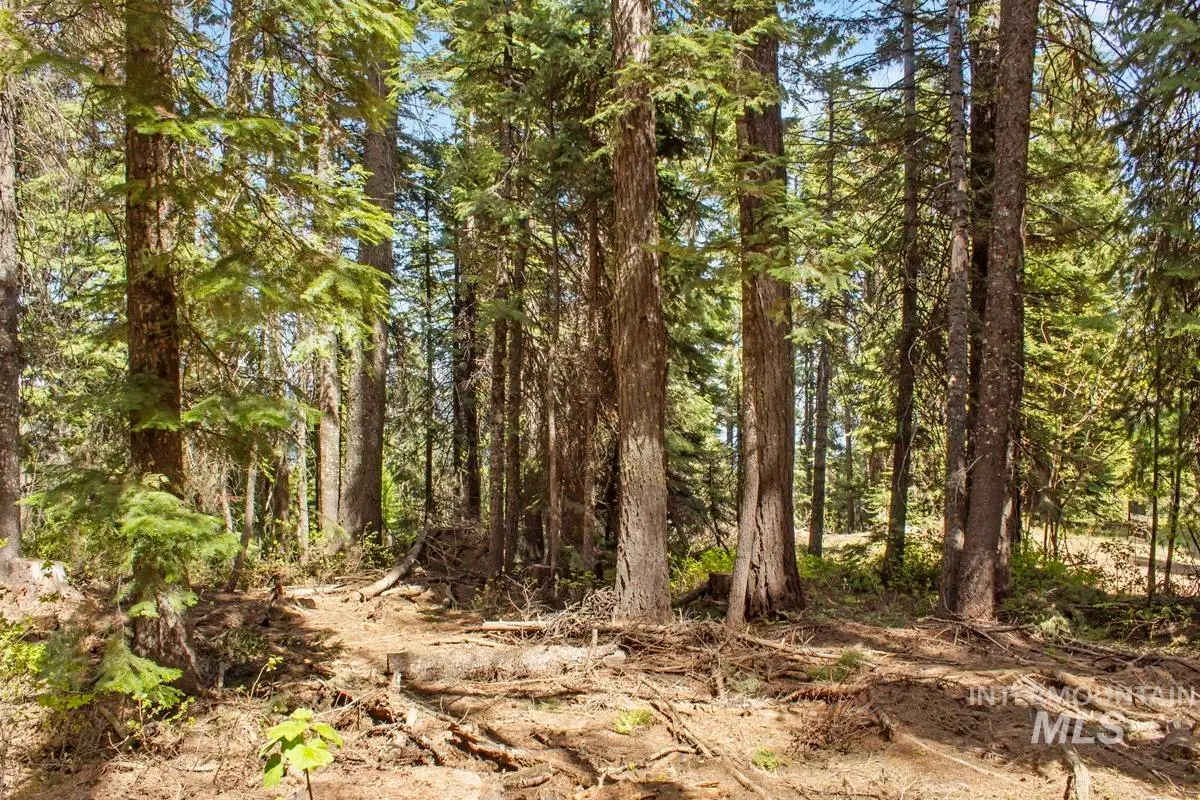 80 Arling Trail, Donnelly, ID 83615 - Image #1