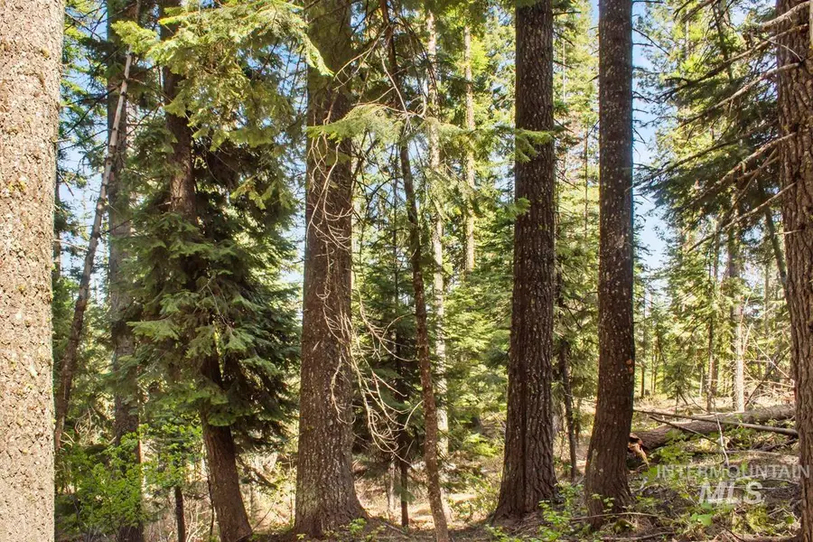 80 Arling Trail, Donnelly, ID 83615 - Image #2