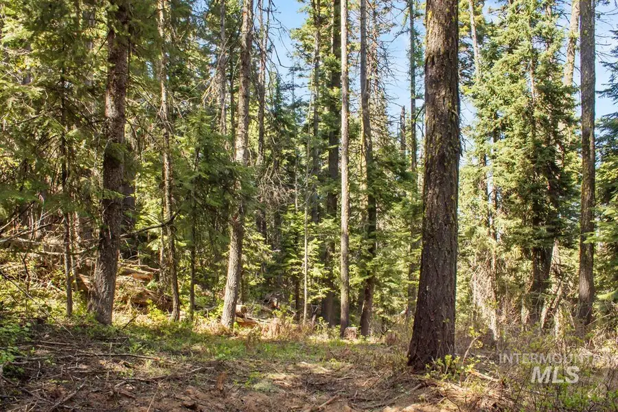 80 Arling Trail, Donnelly, ID 83615 - Image #3