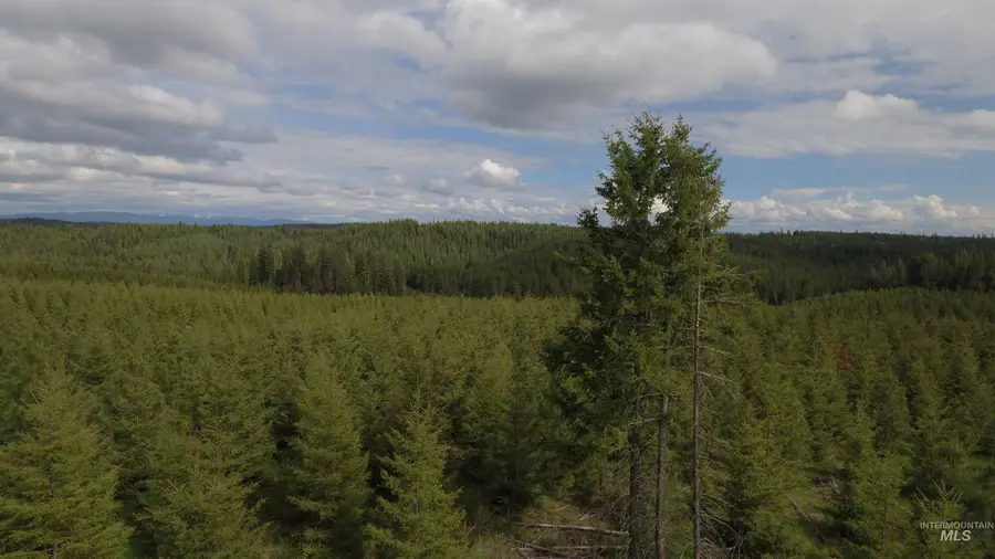 TBD Badger Ridge Dr Parcel 3, Orofino, ID 83544 - Image #2