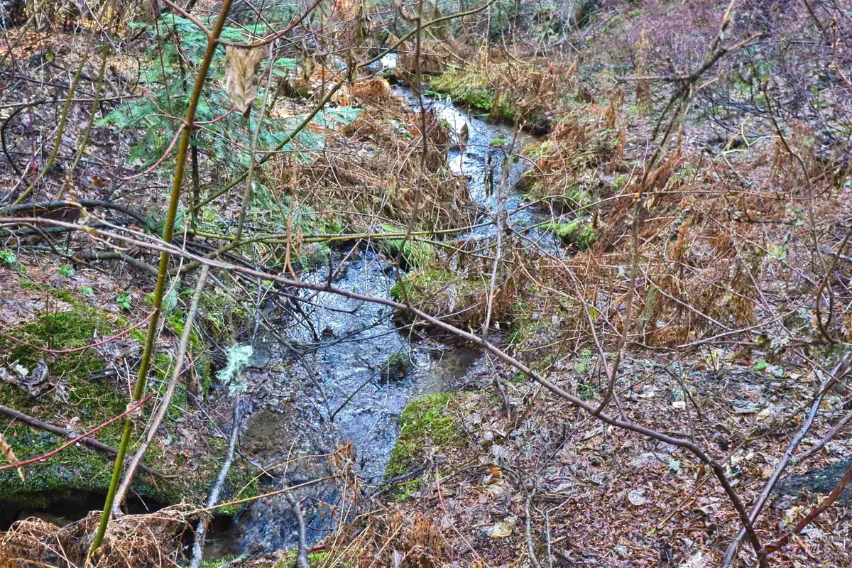 2437 Maverick Rd, Donnelly, ID 83615 - Image #1