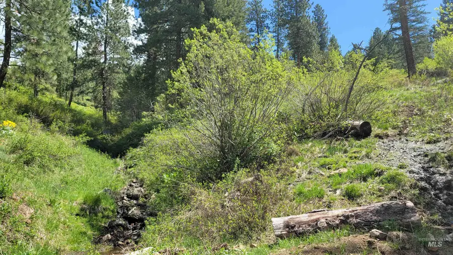 2488 Lappin Lane, Council, ID 83612 - #3