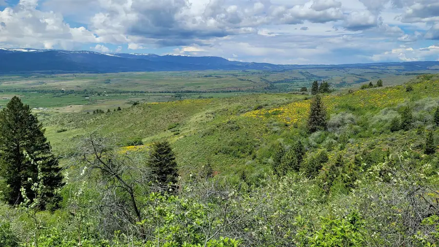 2488 Lappin Lane, Council, ID 83612 - Image #3