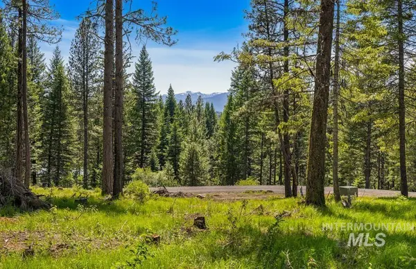 2 Spruce Hill Road, McCall, ID 83638