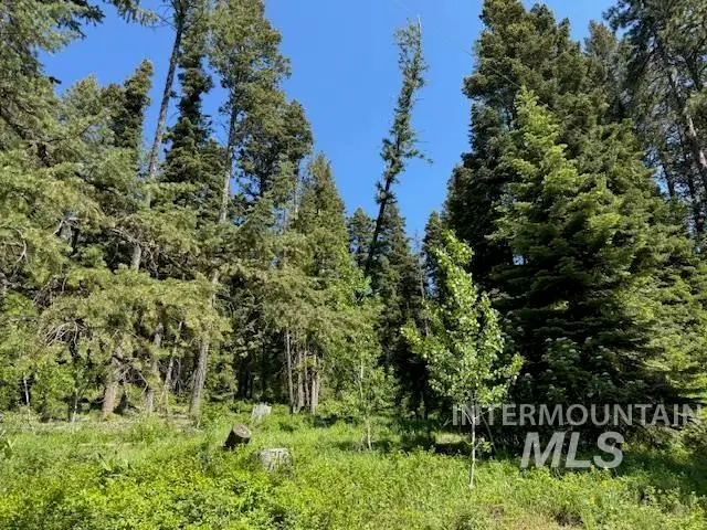 1633 Bear Trail, Cascade, ID 83615 - Image #3