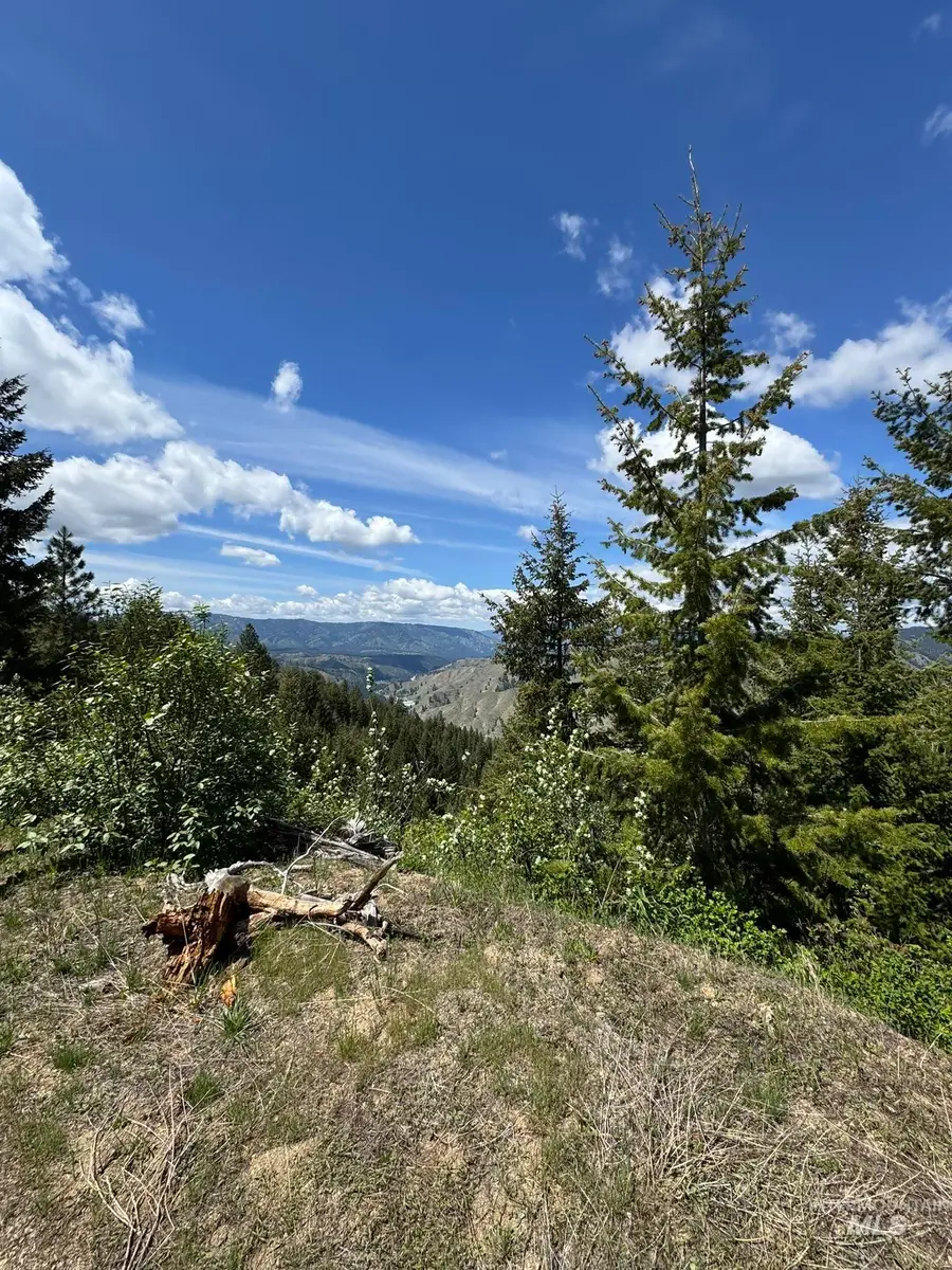 11 Golden Age Mine Rd, Idaho City, ID 83631 - Image #2