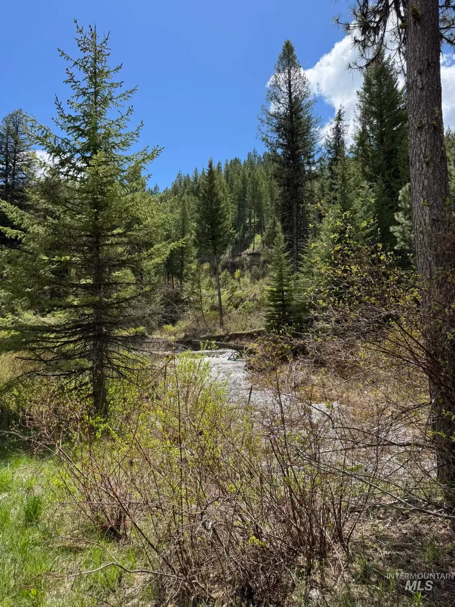 11 Golden Age Mine Rd, Idaho City, ID 83631 - Image #3