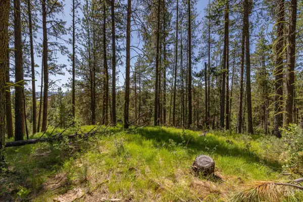 TBD Huckleberry Place, McCall, ID 83638