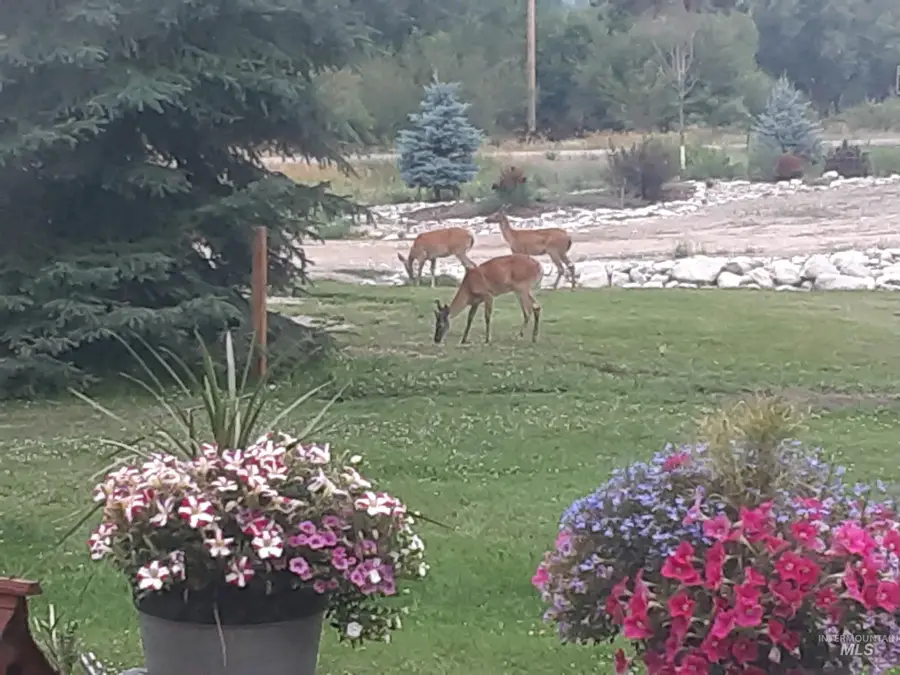 3127 Highway 93 N, Gibbonsville, ID 83463 - Image #3