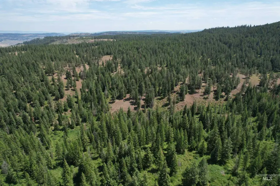 TBD Sickfoot Road, Wallowa, OR 97885 - Image #2