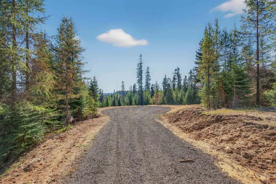 TBD Parcel 3 Tree Farm Trails Road, Elk City, ID 83525 - #3