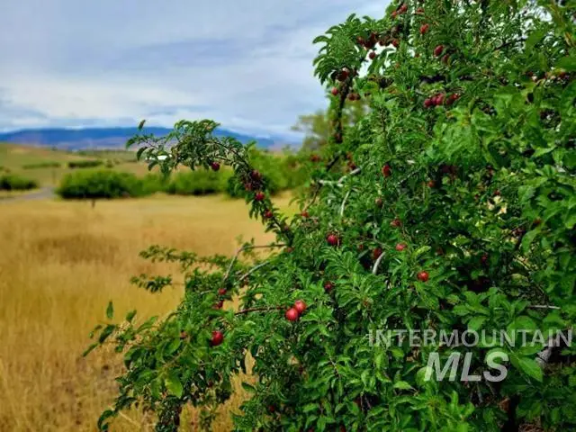 TBD Mesa Rd, Mesa, ID 83612 - Image #2