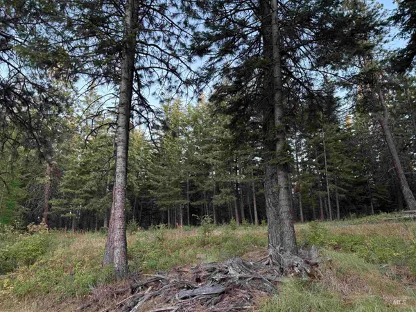 TBD Harlow Ridge Rd - Cloverland Estates 26, Asotin, WA 99402