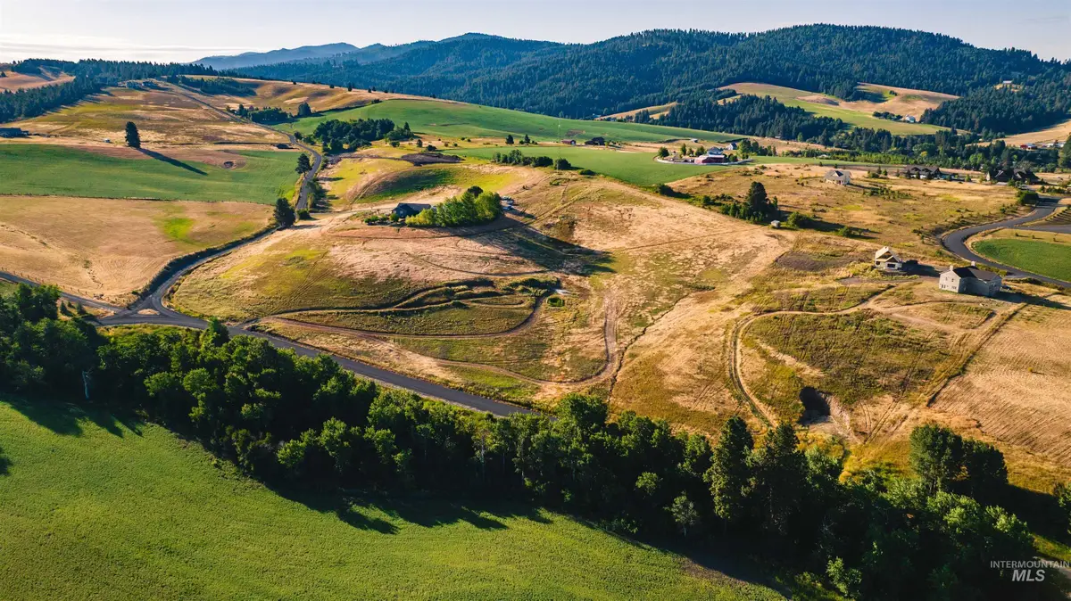 1070 Chaney, Viola, ID 83872 - Image #1