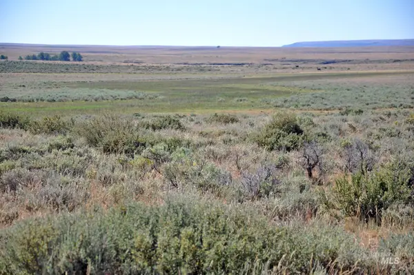 TBD Mud Flat Road, Grand View, ID 83624