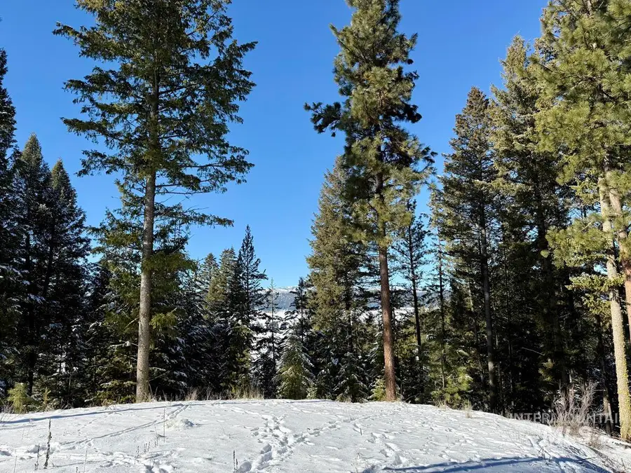 L1 B2 San Ignacio Way, Cascade, ID 83611 - Image #2