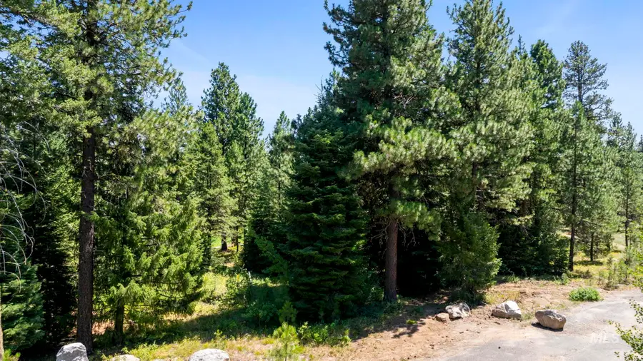 994 Discovery, Donnelly, ID 83615 - Image #3