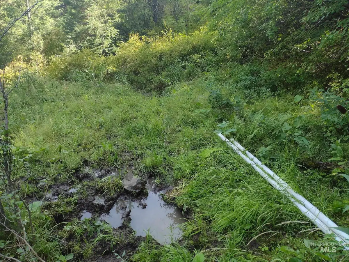 480 Burnt Creek Rd., Cottonwood, ID 83522 - Image #1