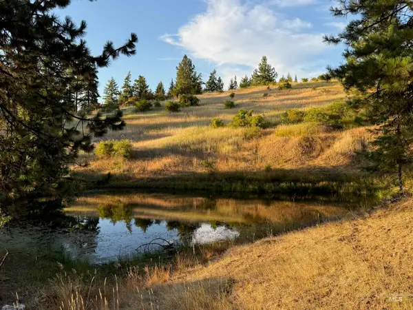 993 Norton Knob Ln, Orofino, ID 83544