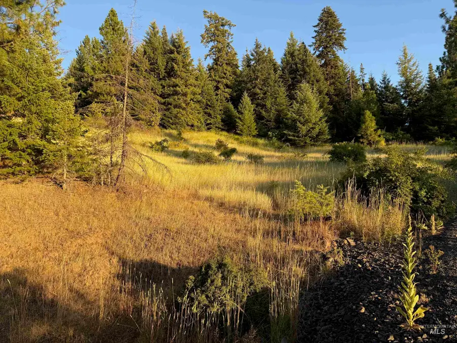 993 Norton Knob Ln, Orofino, ID 83544 - #3