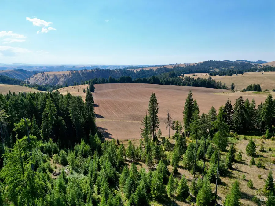 TBD Parcel 1 Peaceful Valley Rd, Kamiah, ID 83536 - Image #2