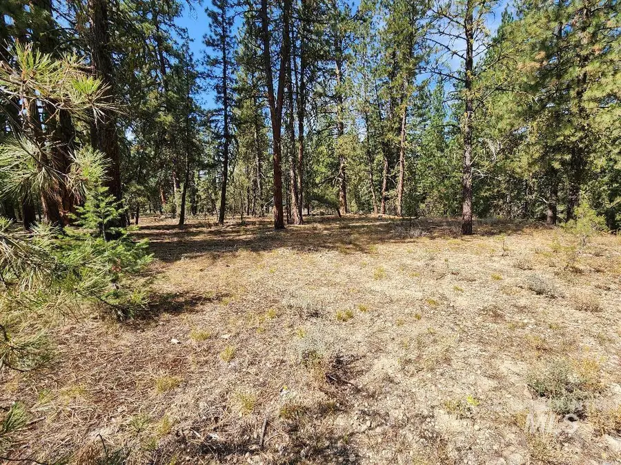 TBD N Diamond Bar Place, Featherville, ID 83647 - Image #2