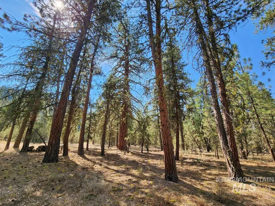 TBD N Diamond Bar Place, Featherville, ID 83647 - Image #3