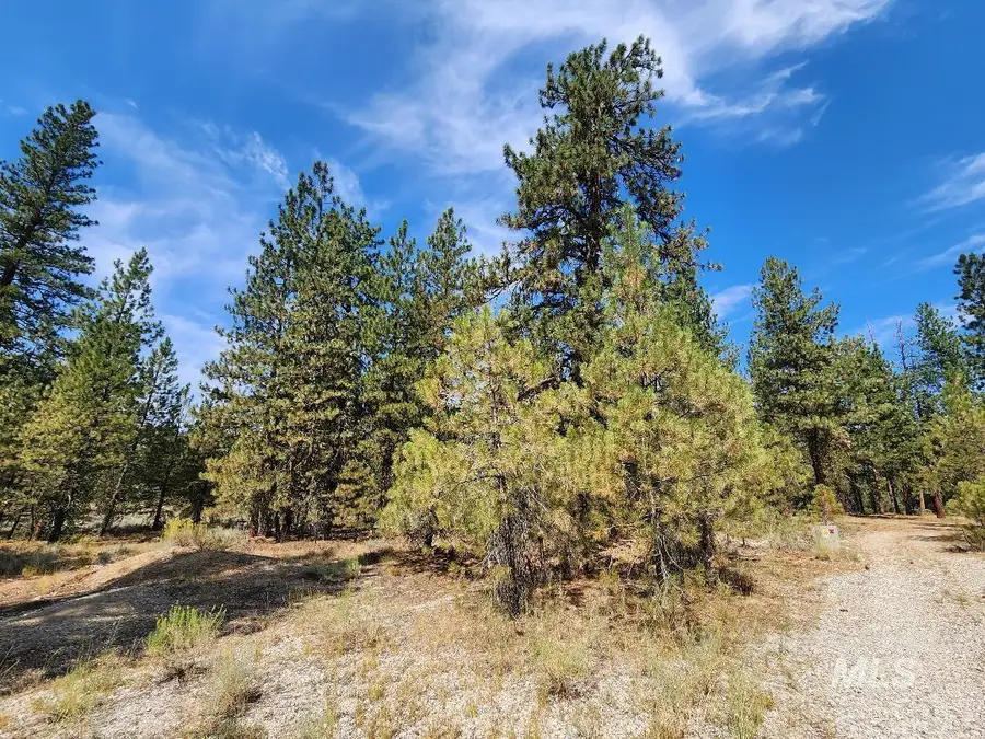 TBD N Diamond Bar Place, Featherville, ID 83647 - Image #2