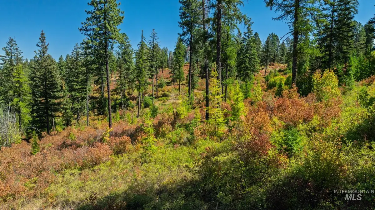 NKA O'reilly Road, Princeton, ID 83857 - Image #1