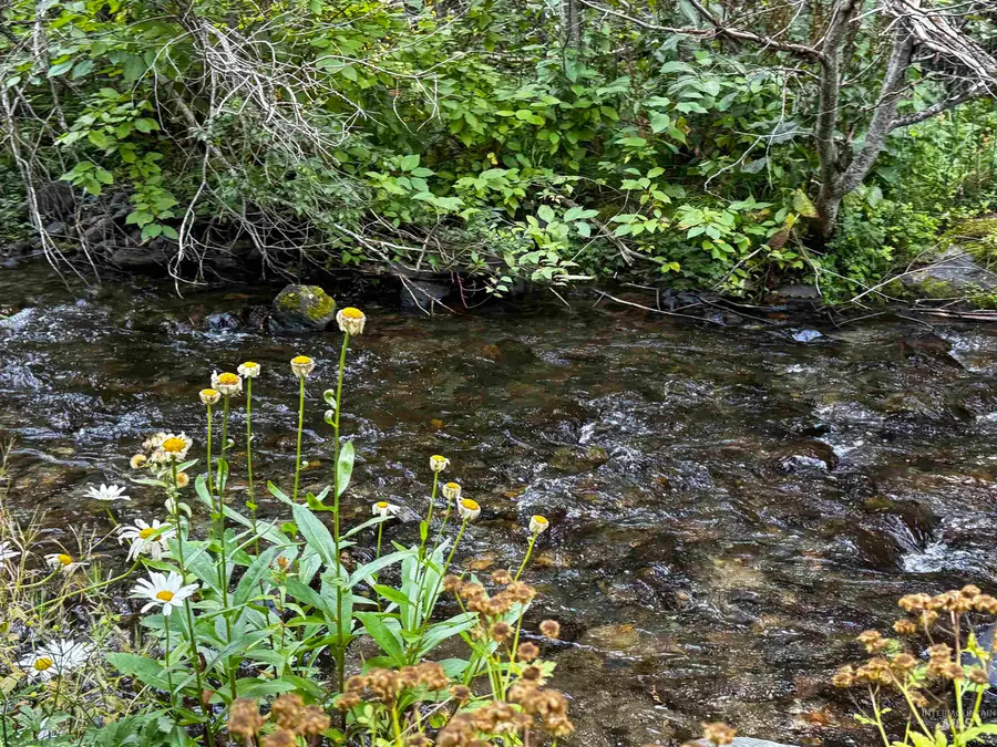 4482 Council Cuprum Rd, Council, ID 83612 - Image #3