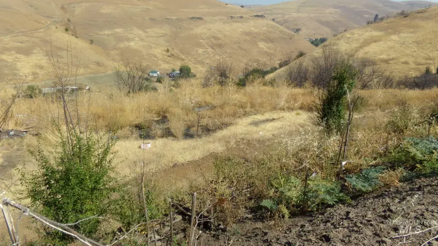 29634 Wild Plum Ln, Culdesac, ID 83524 - Image #3