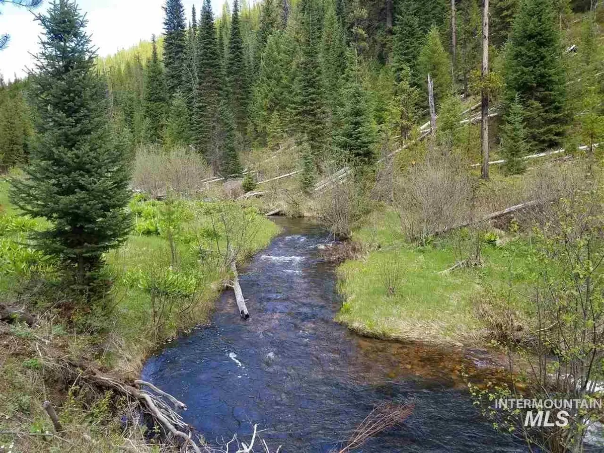 TBD American Eagle Properties Survey 1810 & Survey 188, Elk City, ID 83525 - Image #1