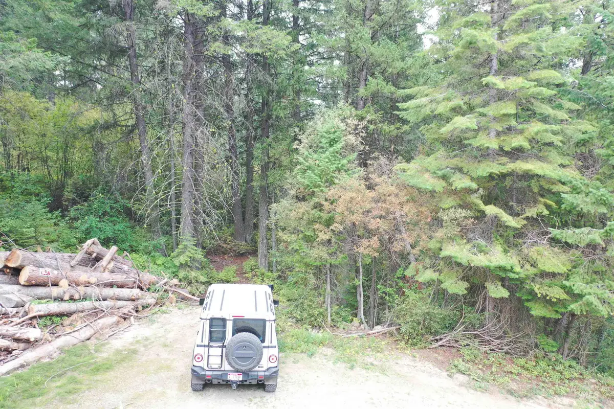 515 Collier View, Cascade, ID 83611 - #1