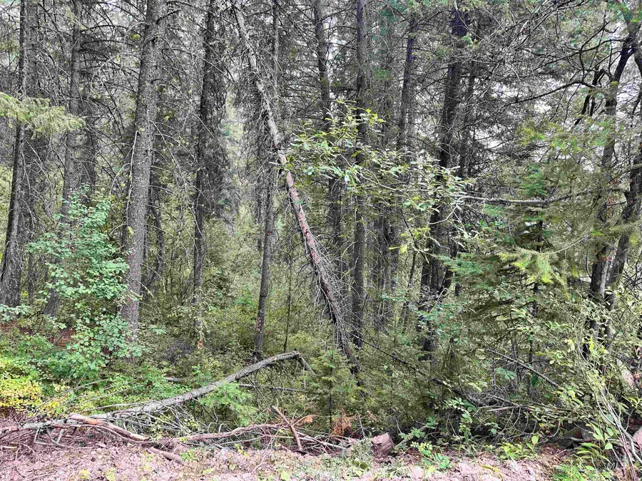 515 Collier View, Cascade, ID 83611 - #2