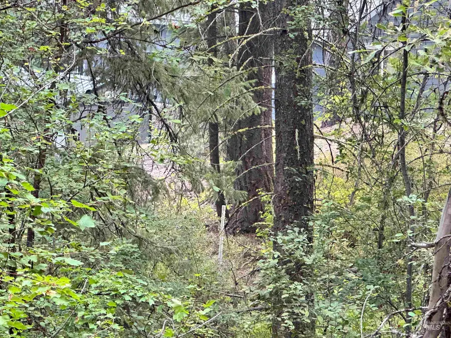 515 Collier View, Cascade, ID 83611 - #3