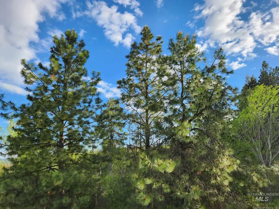 TBD Ken Trail, Moscow, ID 83843 - Image #3