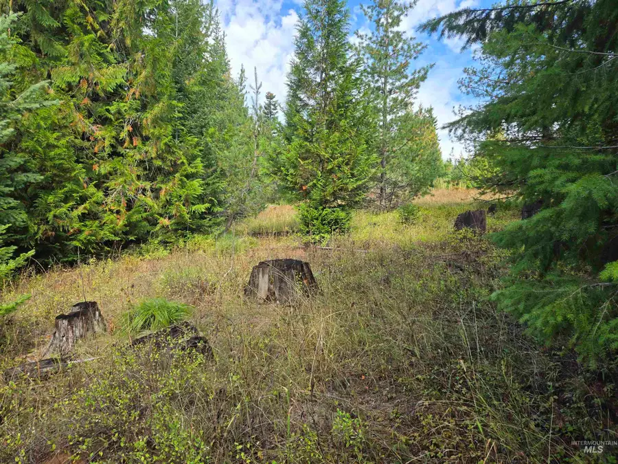TBD #7 Hjalmar Johnson Road, Weippe, ID 83553 - Image #2