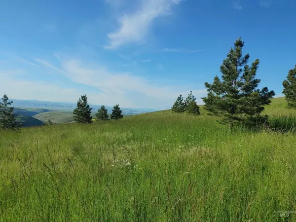 Lot B Forsman Rd, Lewiston, ID 83501