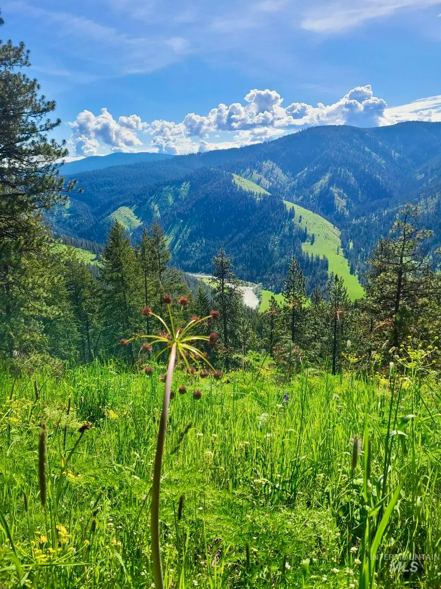 929 Mt. Idaho Grade Rd, Grangeville, ID 83530 - Image #2