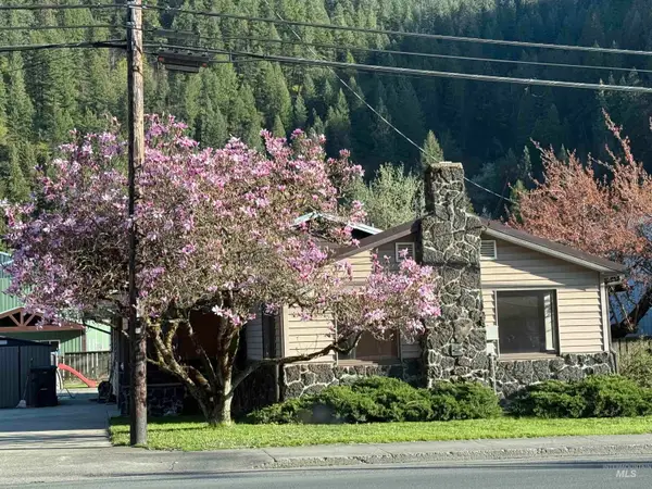 1155 Michigan Avenue, Orofino, ID 83544