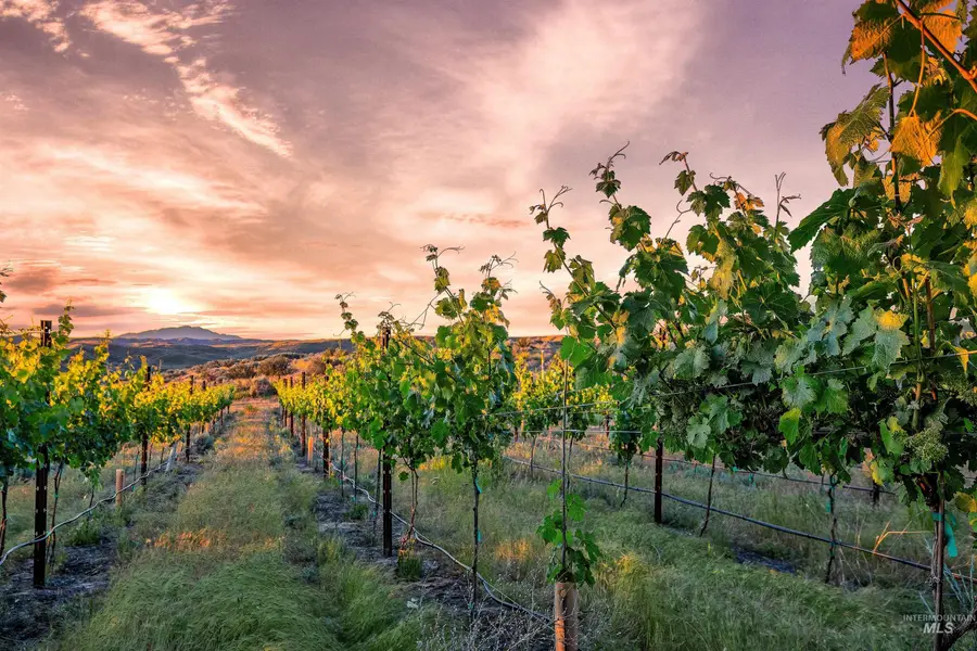 5446 N Highway 16, Eagle, ID 83616 - Image #3