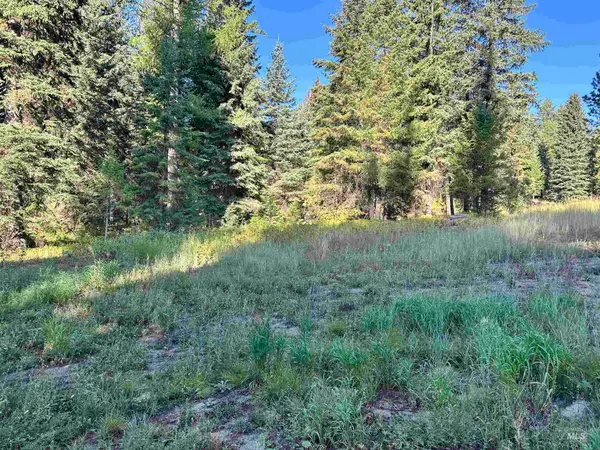 17 Andy, Donnelly, ID 83615