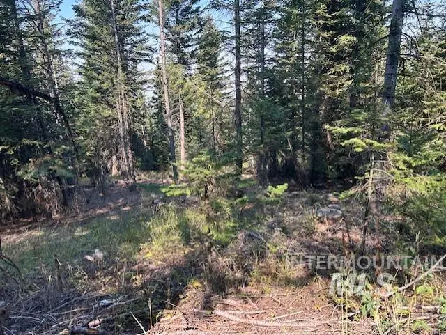 TBD Radar Rd, Cottonwood, ID 83522 - Image #2