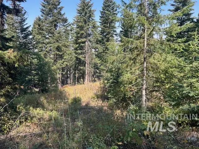 TBD Radar Rd, Cottonwood, ID 83522 - Image #3