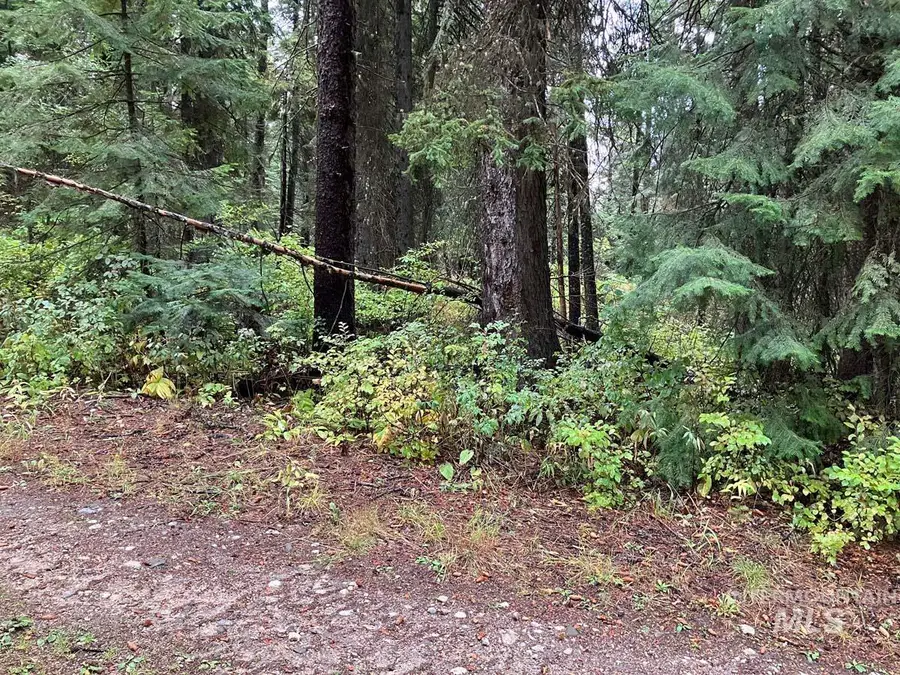 1790 Lark Trail, Donnelly, ID 83615 - Image #3