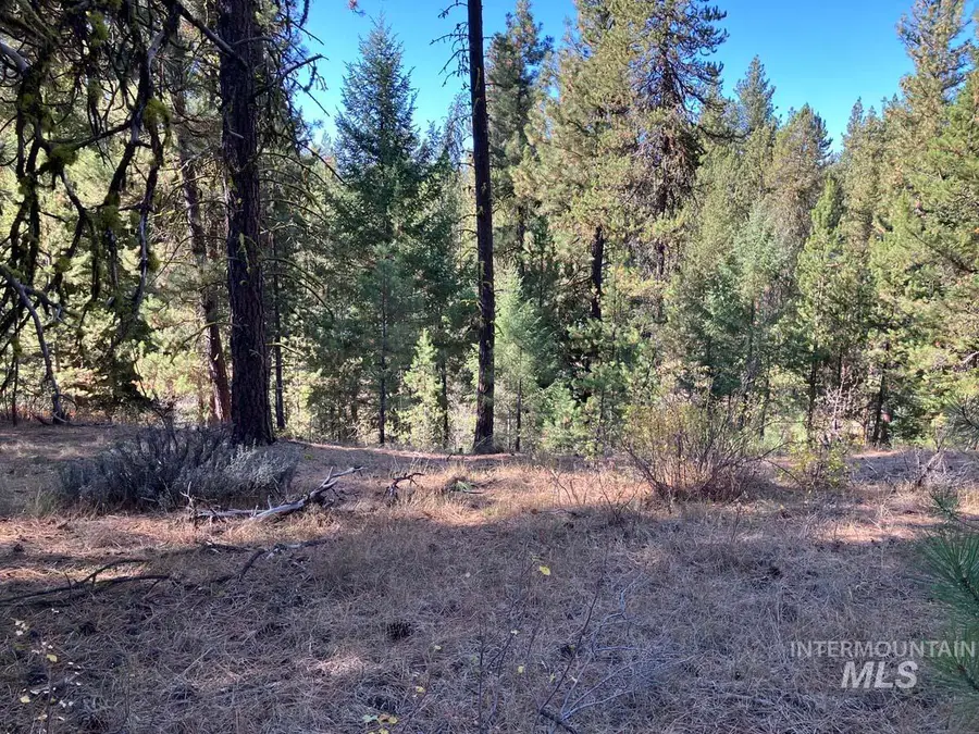 1484 Alberta Court, Cascade, ID 83611 - Image #3