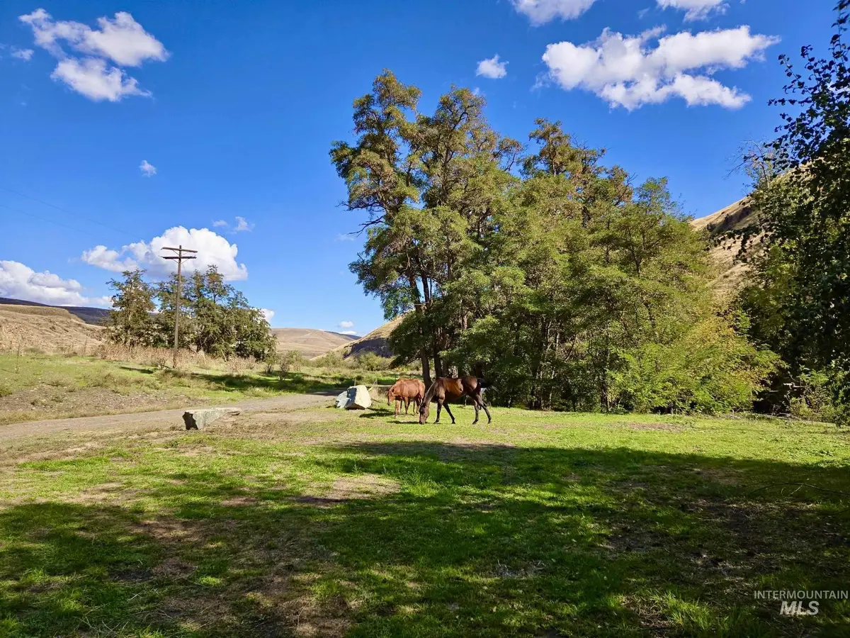 13761 Asotin Creek Rd, Asotin, WA 99402 - Image #1